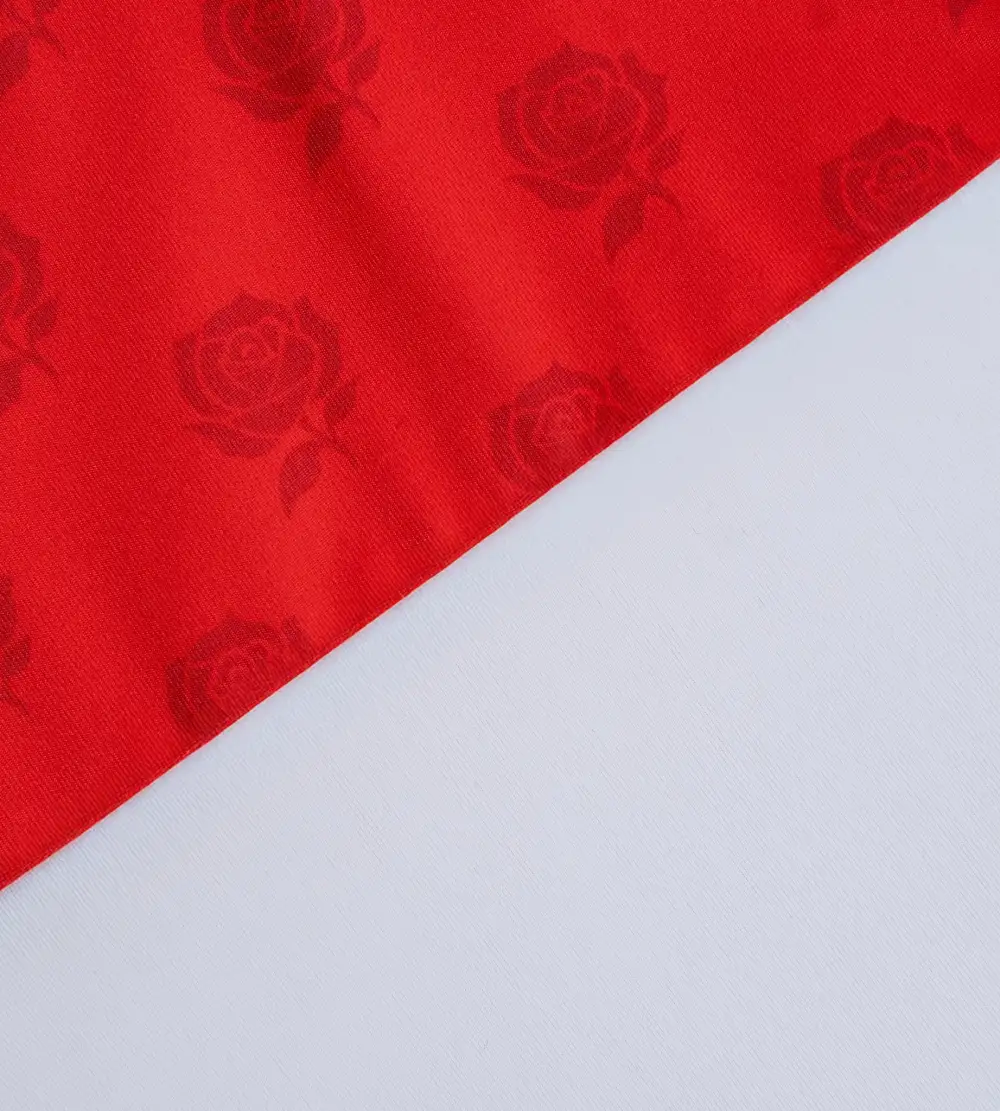 NATIONS POLO - ENGLAND - Image 4