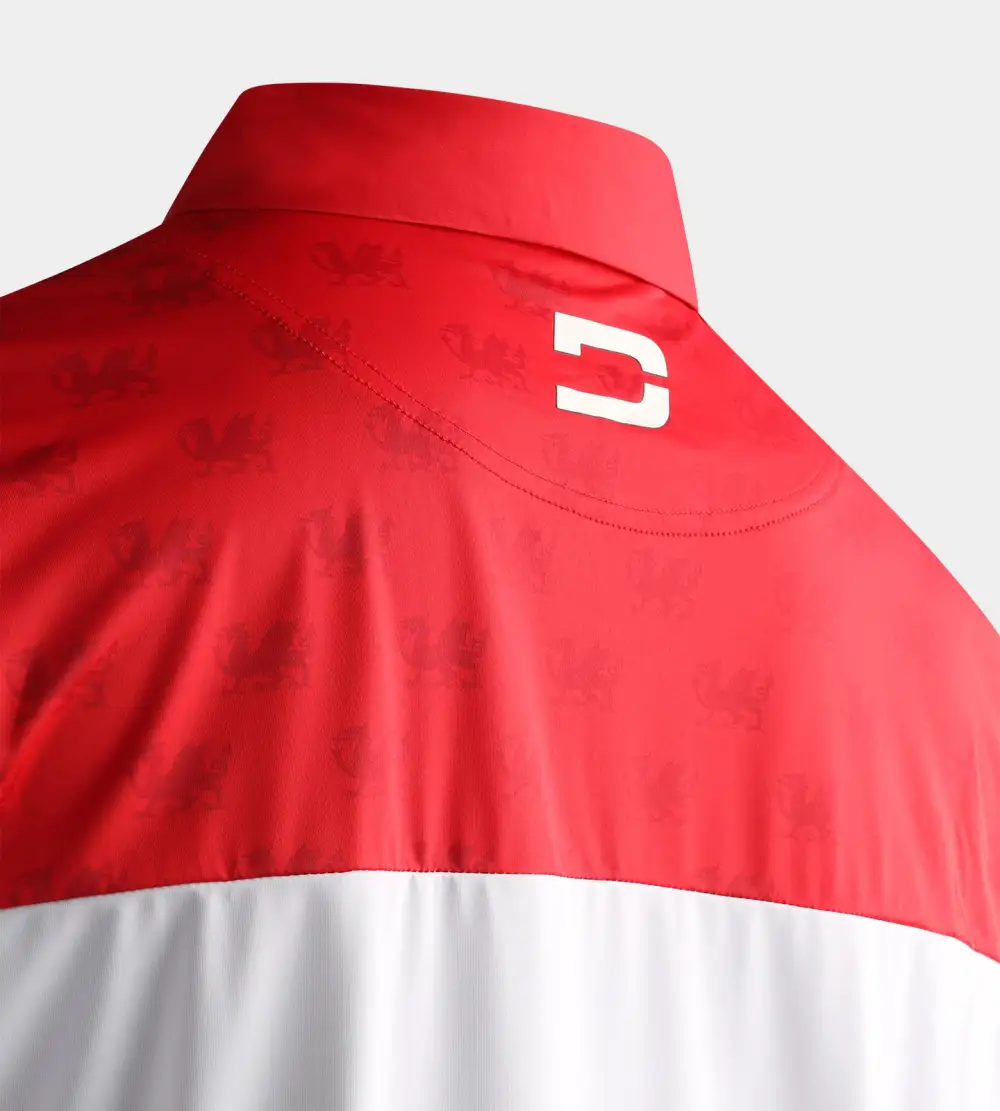 NATIONS POLO - WALES - Image 4