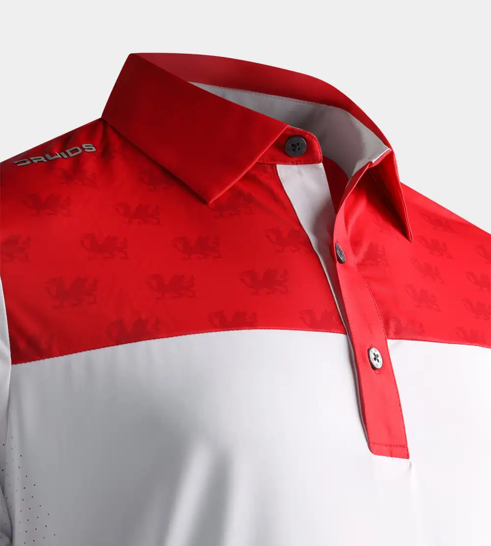 NATIONS POLO - WALES - Image 3