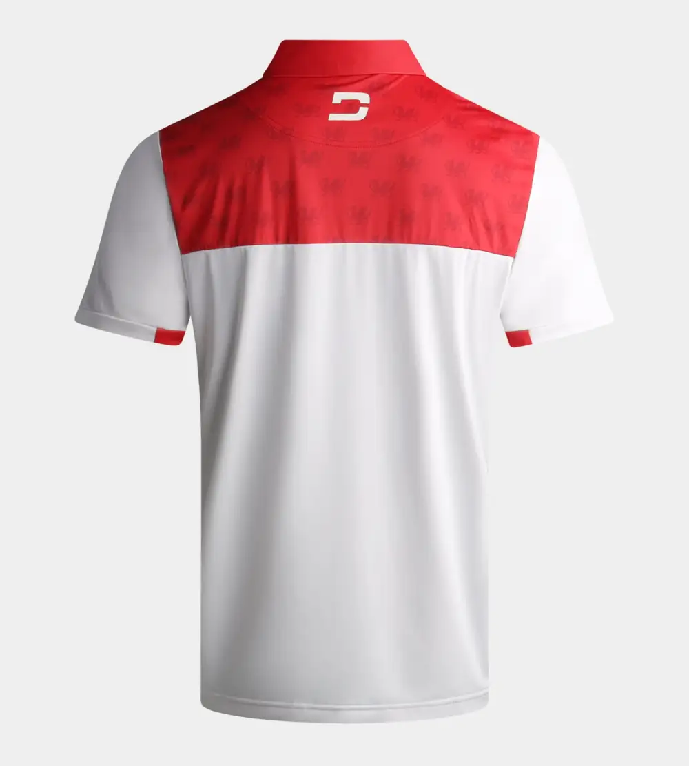 NATIONS POLO - WALES - Image 2