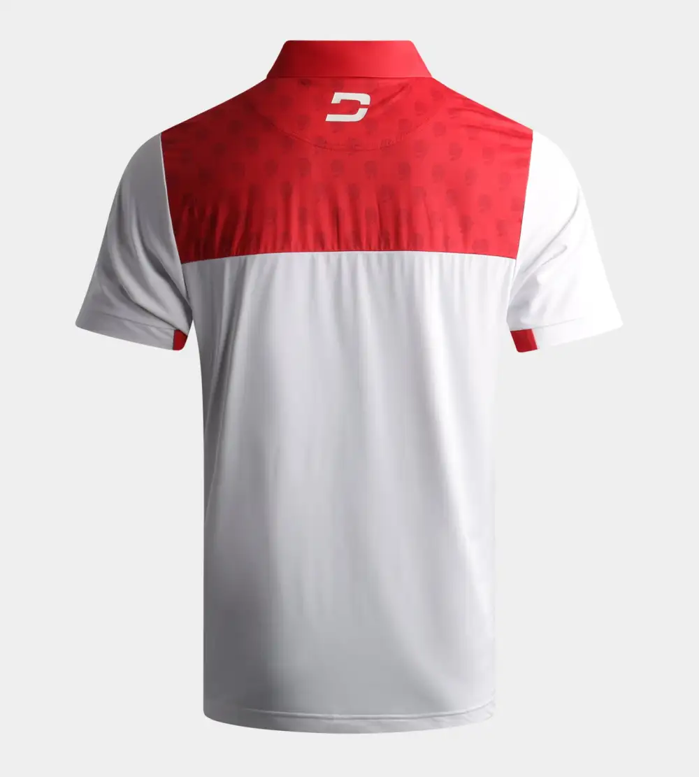 NATIONS POLO - ENGLAND - Image 2